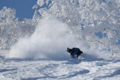 Kuniyoshi 2026 Season Photos